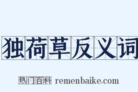 独荷草反义词是什么意思的图片